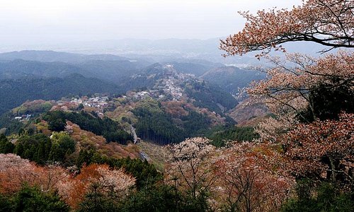 view from hanayagura -- most trees on lower altitude have turned red-brown after shedding petals