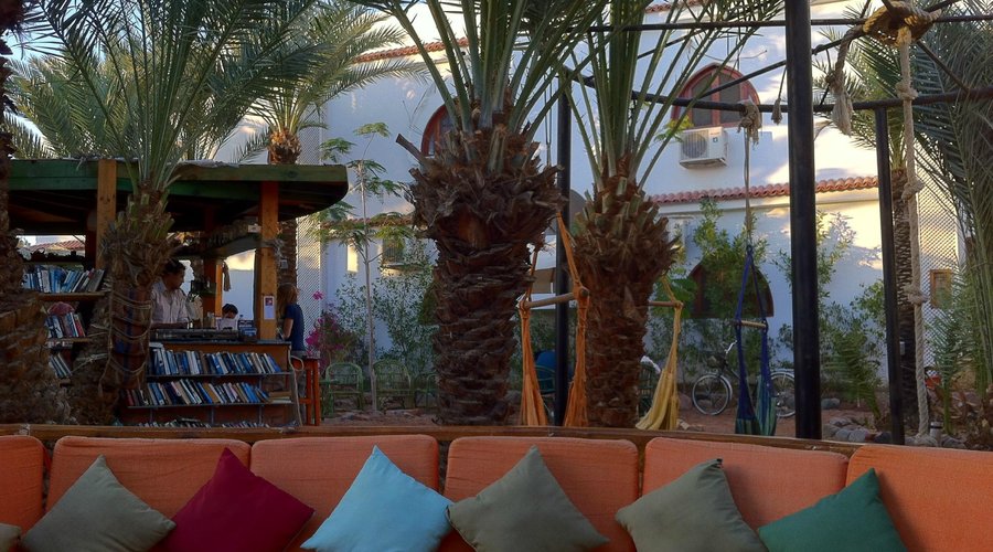 chill out in the tea grarden