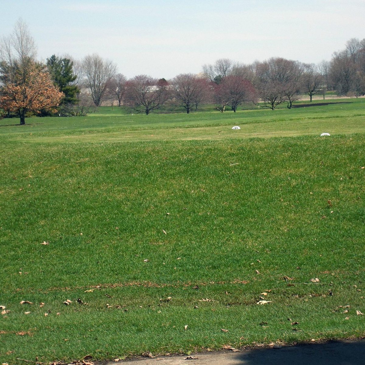 Forest Akers Golf Course (East Course) (2025) All You Need to Know Forest Akers Golf Course (East Course) (2025) All You Need to Know