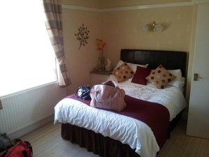 Habitación y suite