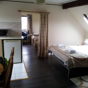Main area with bedroom just past the curtain