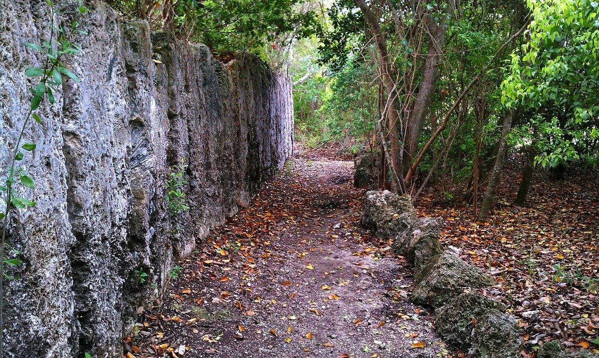 Windley Key Fossil Reef Geological State Park (Islamorada) - All You Need  to Know BEFORE You Go