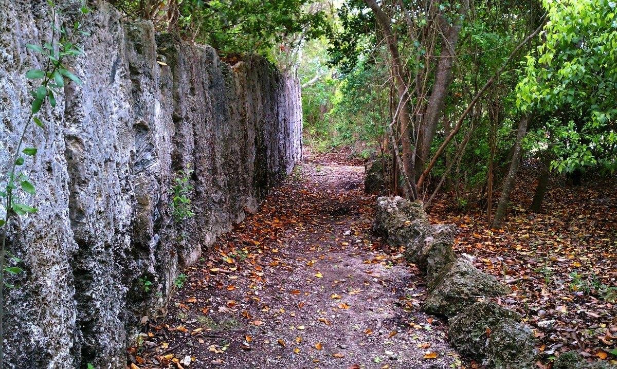 Windley Key Fossil Reef Geological State Park (Islamorada) - All You Need  to Know BEFORE You Go