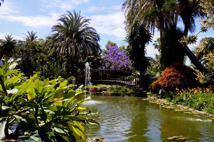 Imagen 24 de Hotel Botánico & The Oriental Spa Garden