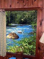 view from Little River