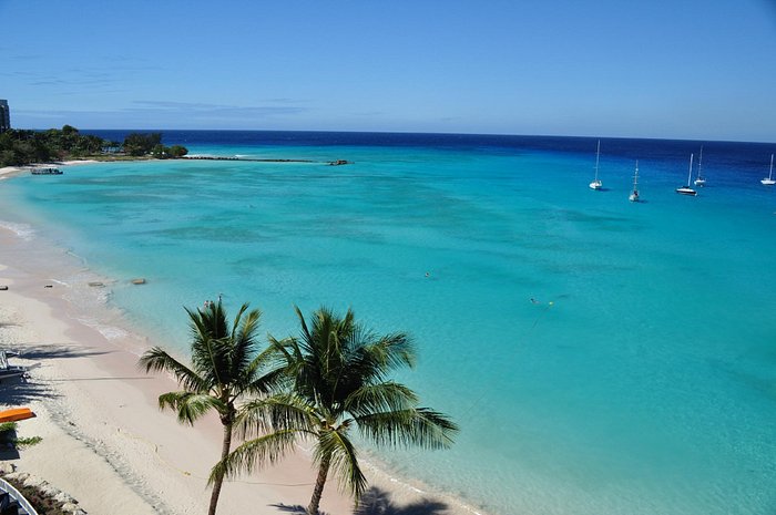 Radisson Aquatica Resort Barbados Pool Pictures & Reviews - Tripadvisor