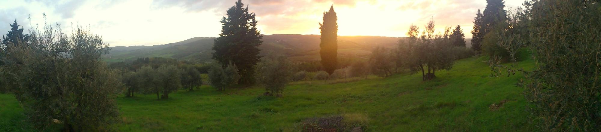 ANCORA DEL CHIANTI COUNTRY B&B - RETREAT IN TUSCANY (Greve In Chianti ...