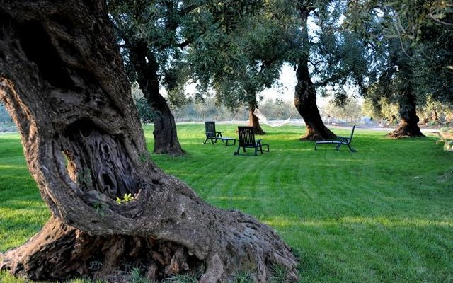 Il prato del B&B Galizia