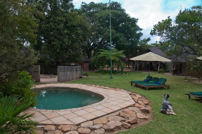 NKONKA BUSH LODGE - Reviews (Vaalwater, Waterberg, South Africa)