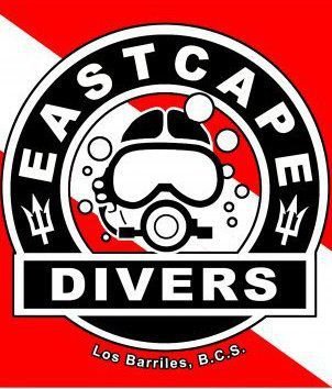 East Cape Divers All You Need to Know BEFORE You Go 2024