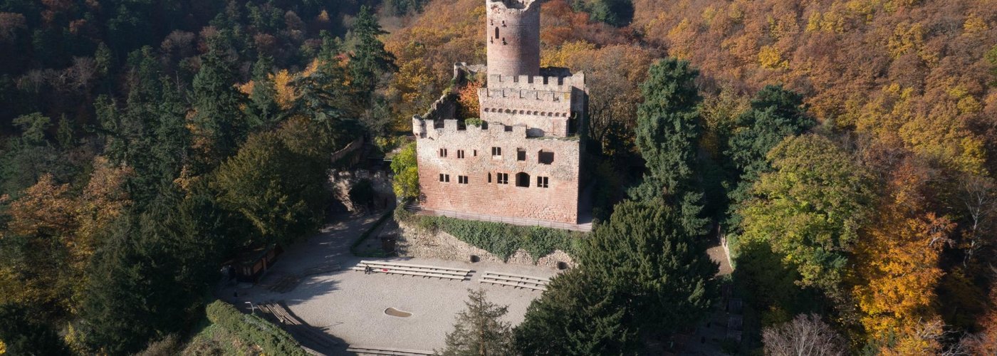Le château vu d'oiseau