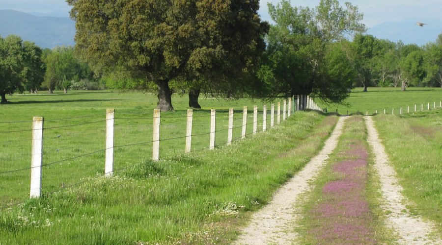 Primavera en La Vera