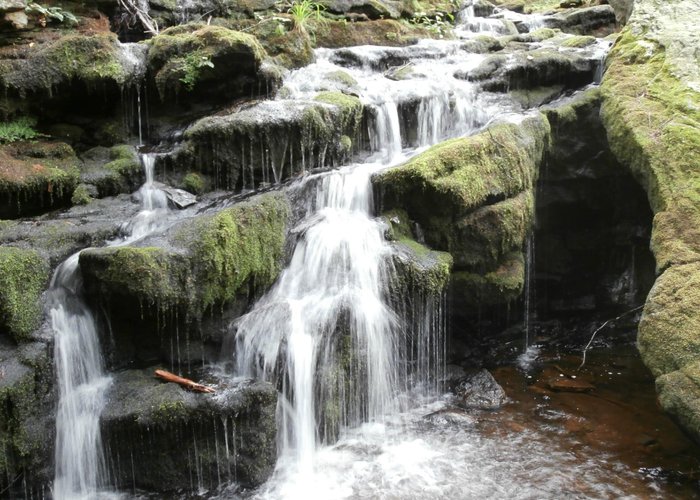 the falls