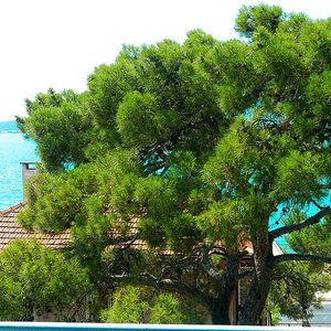 Mavi Pansiyon - Ayvalık