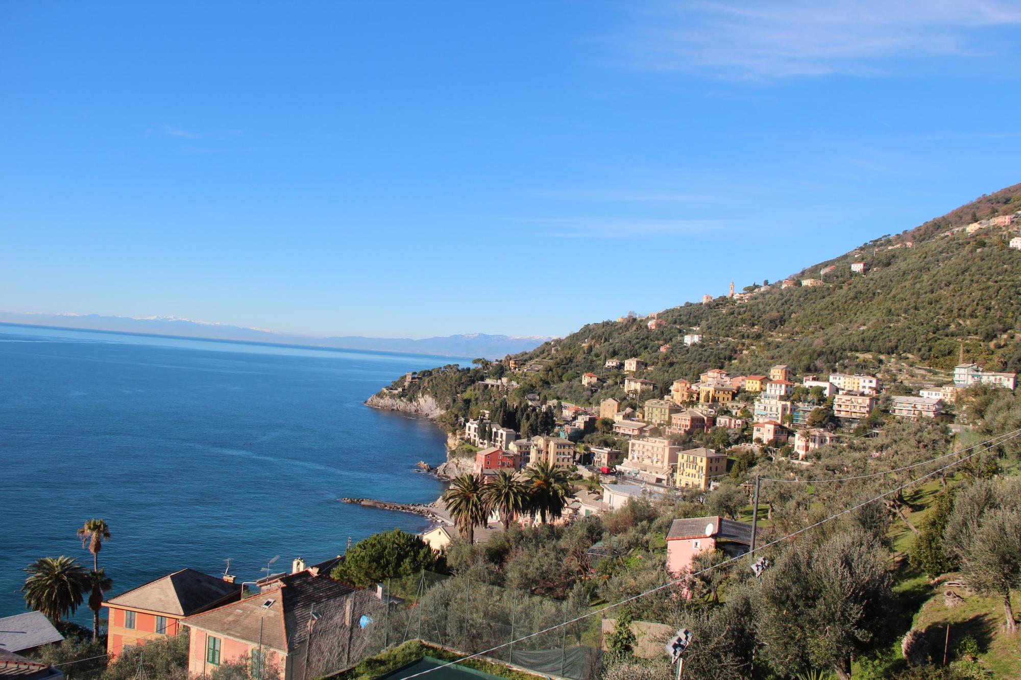 VILLA SOLARIA B&B (Sori, Liguria): Prezzi E Recensioni (2024)