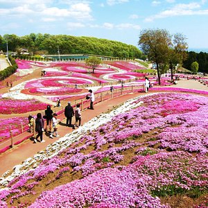 22年 高崎市で絶対外さないおすすめ観光スポットトップ10 定番から穴場まで トリップアドバイザー