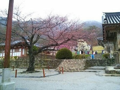 Buan-gun 2021: Best of Buan-gun, South Korea Tourism - Tripadvisor
