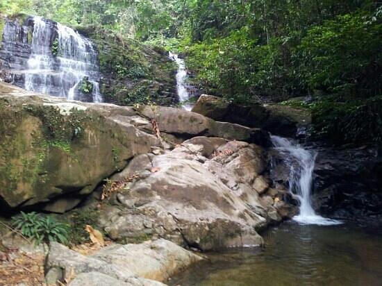 Stream flowing through lush tropical rainforest, Kubah National