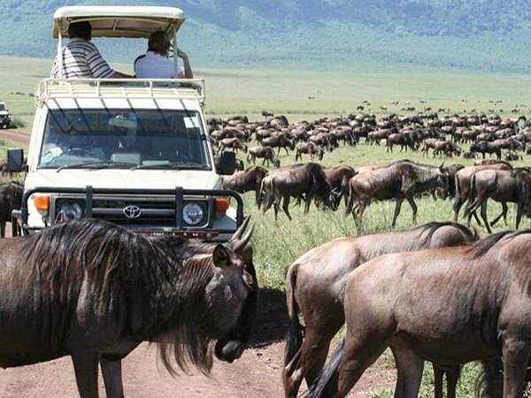 Best souvenirs to buy in Kenya, Kenya Safaris Tours