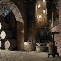 Recorrido bodega subterránea