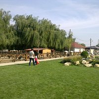 A small part of the farm