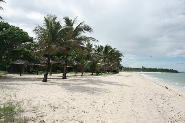 Diani Beach image