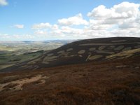 Tinto Hill - All You Need to Know BEFORE You Go (with Photos)