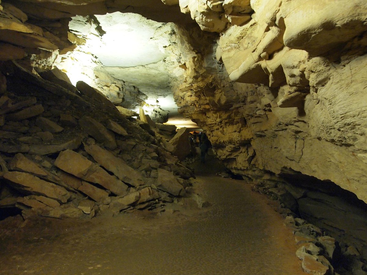 se permiten perros en la cueva del mamut