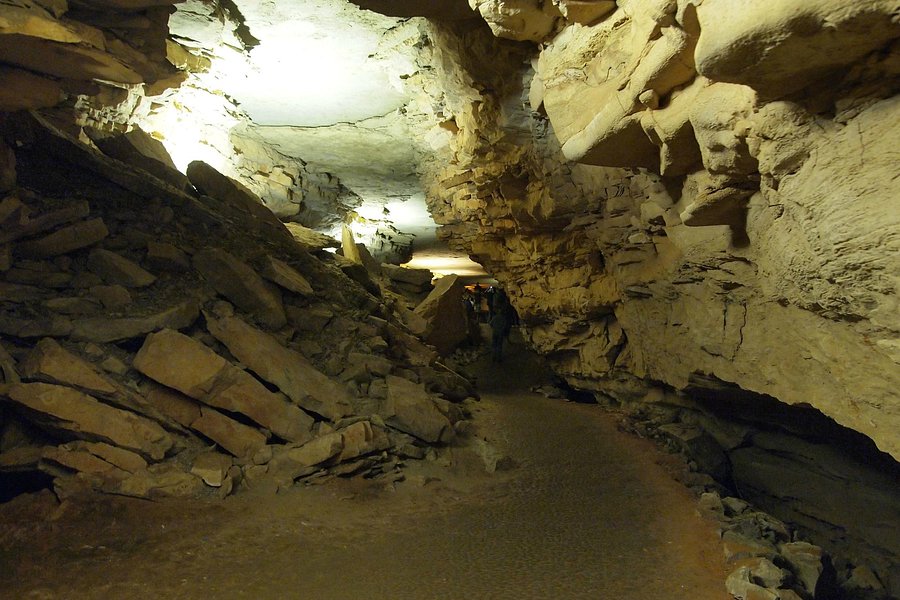 mammoth cave tour reviews