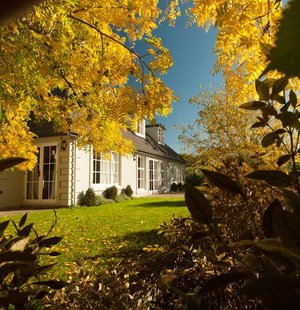 Autumn colours