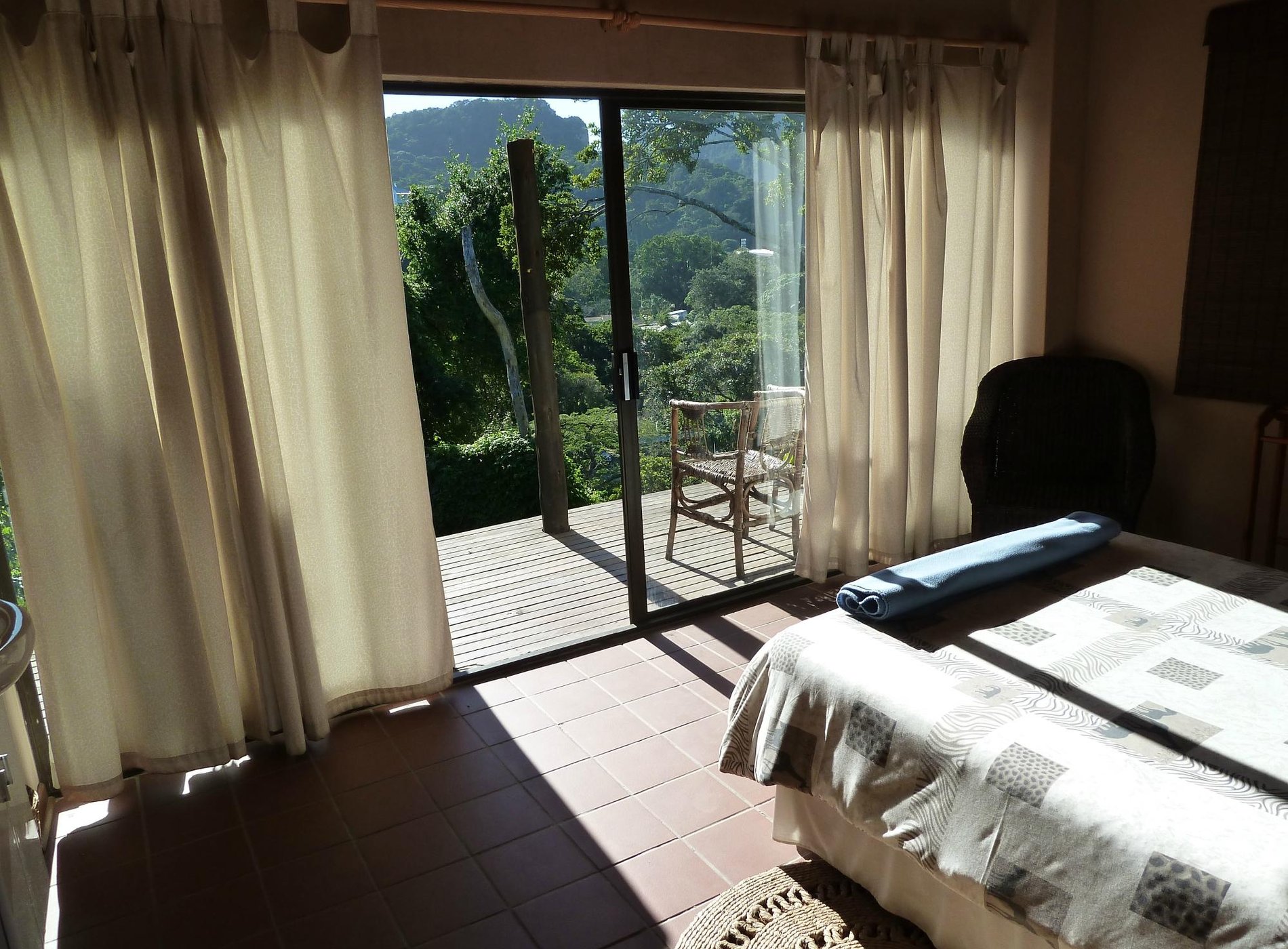 Jungle Monkey Backpackers by null
