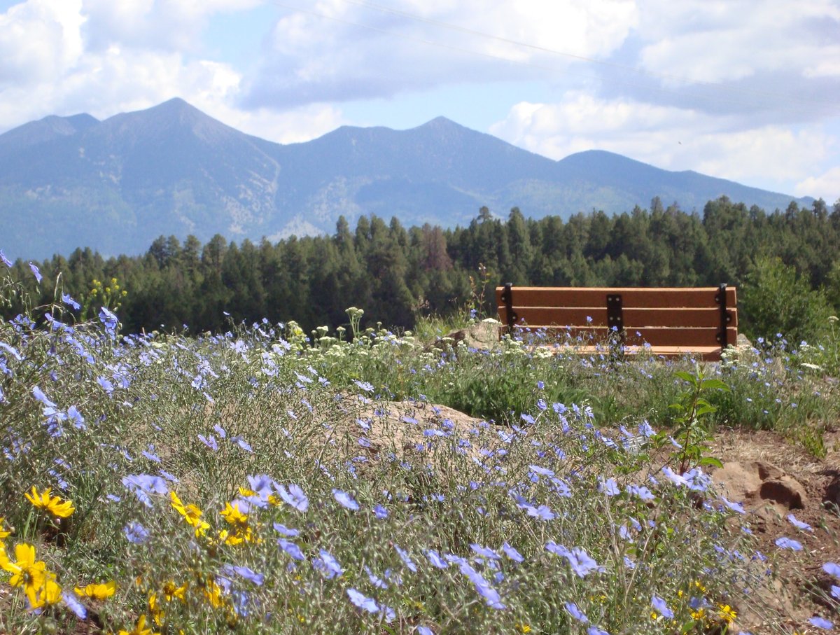 the-arboretum-at-flagstaff-az-review-tripadvisor