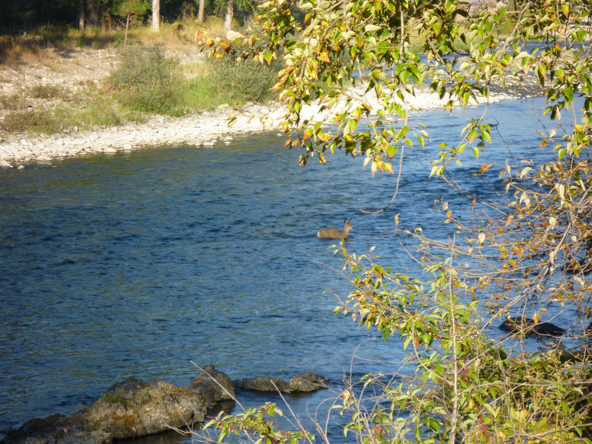 Hotel photo 46 of Methow River Lodge & Cabins.