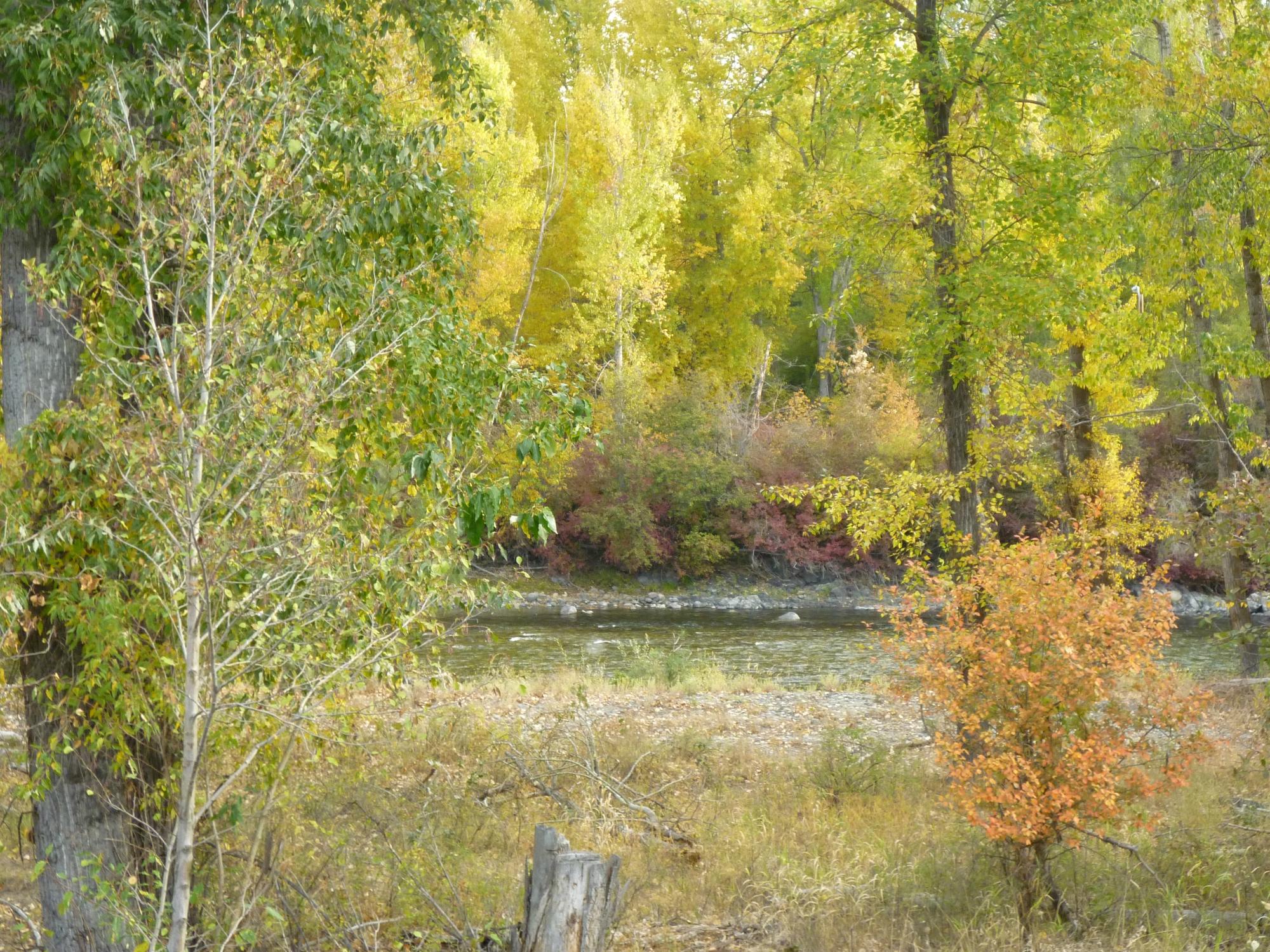 Hotel photo 41 of Methow River Lodge & Cabins.