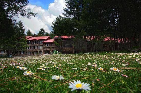 Welcomhotel By Itc Hotels Pine N Peak Pahalgam Hotel Reviews Price Comparison India Tripadvisor