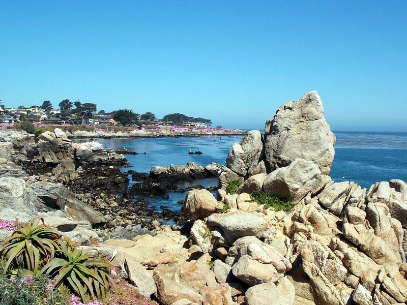 Monterey Bay image