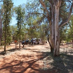 Shady spot at Jim's Place, Stuart's Well Roadhouse.