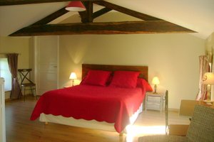 Room & Suite