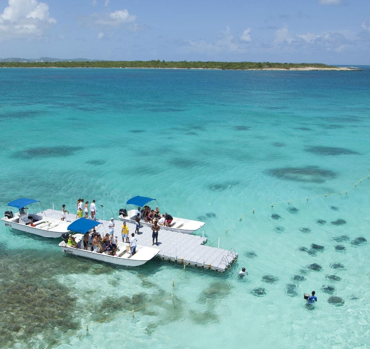 Stingray City (Antigua) - All You Need to Know BEFORE You Go