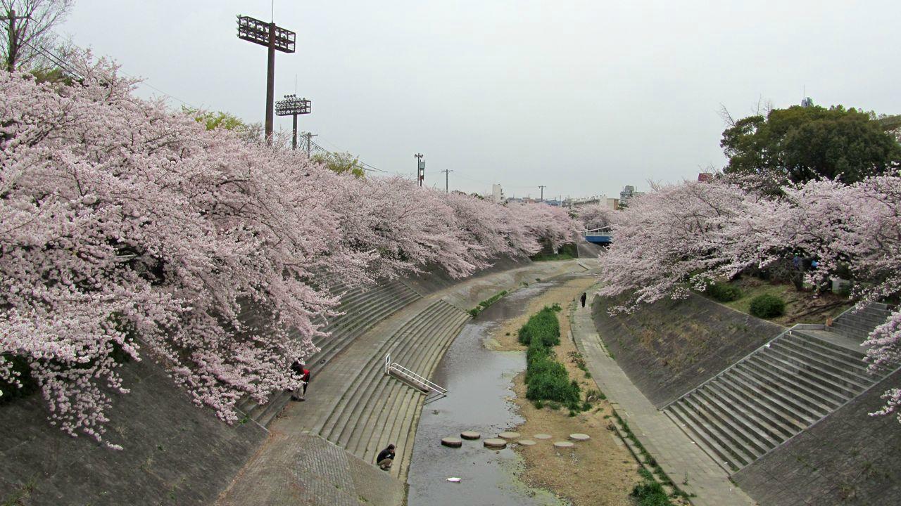 Yamazaki River All You Need to Know BEFORE You Go with Photos