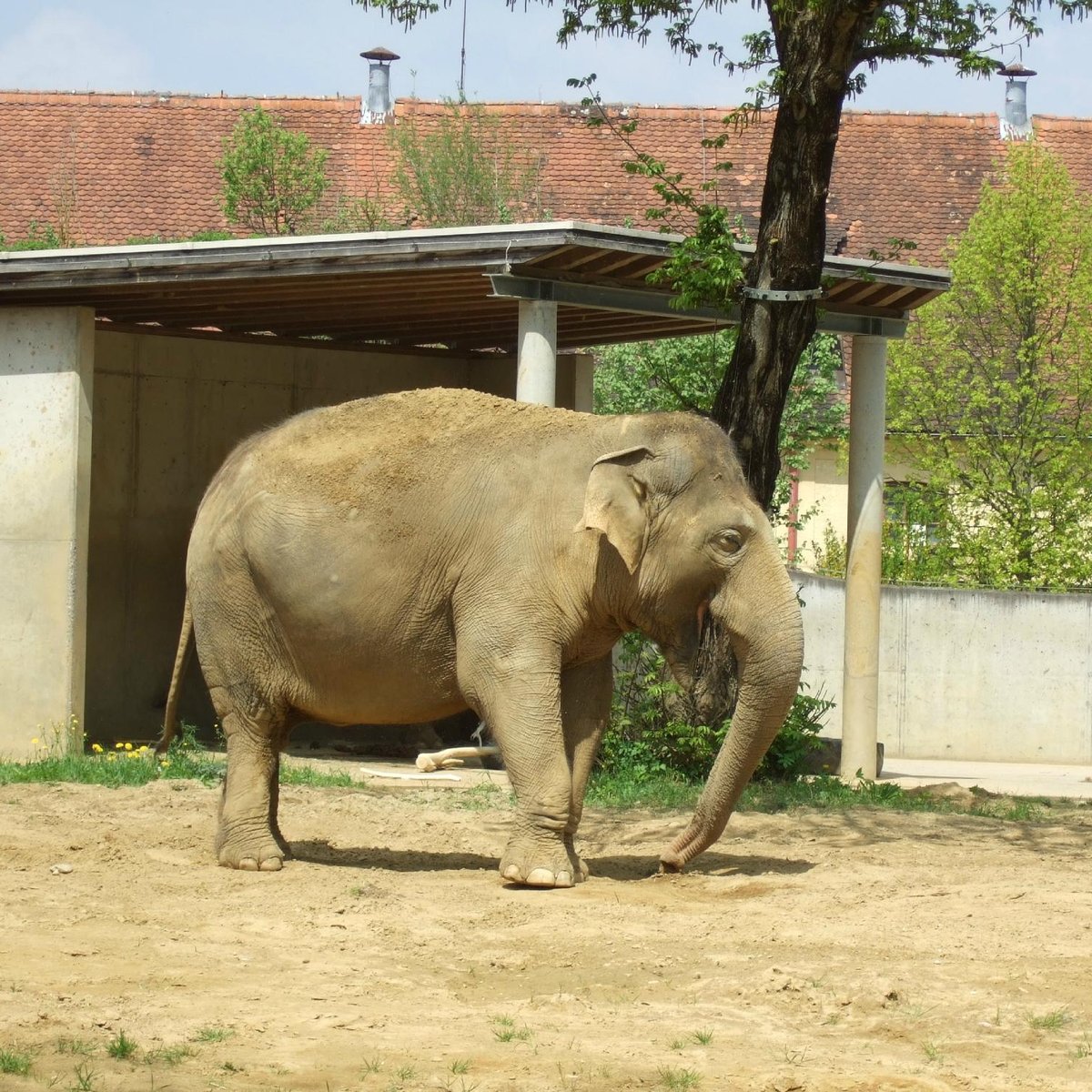 Augsburg Zoo, Аугсбург: лучшие советы перед посещением - Tripadvisor