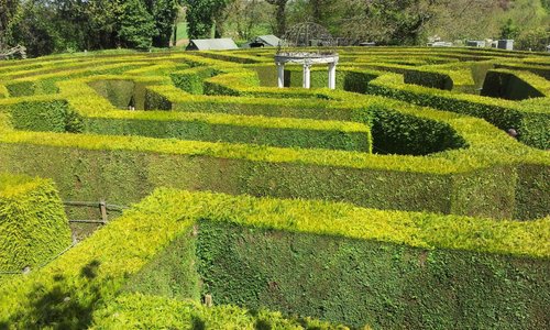 Maze
