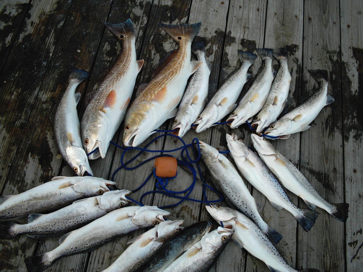 Book'em & Hook'em Fishing Charters in Galveston, Texas: Captain