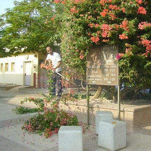 The territory of the hostel