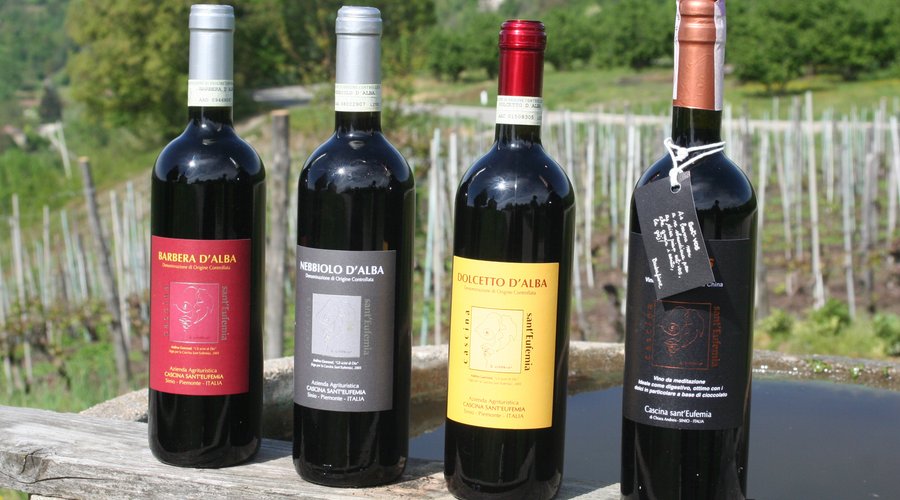Our wines