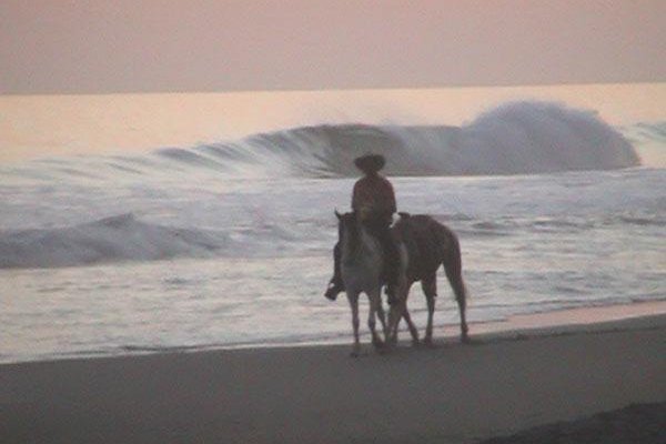 Horseback riding on the beach