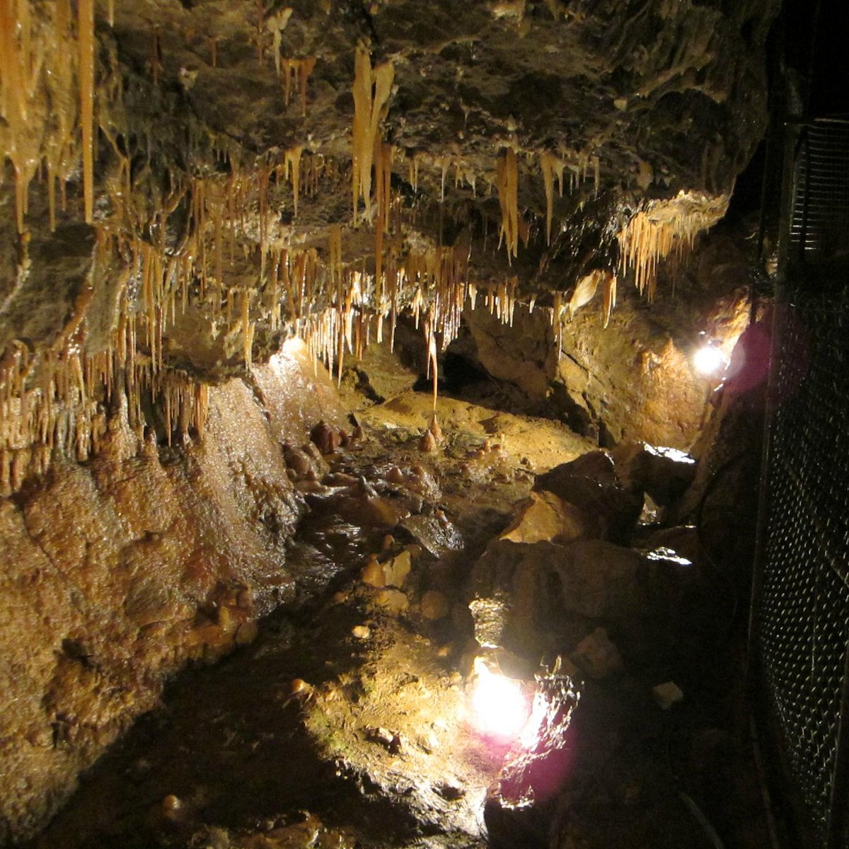 Treak Cliff Cavern  Castleton  2022 What Know Before You  with