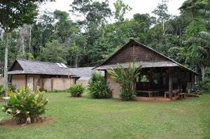 ATTA RAINFOREST LODGE - Prices & Reviews (Iwokrama Forest, Guyana)