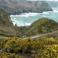 The coastal path