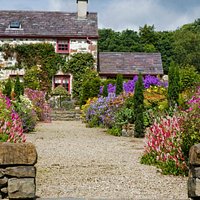 Pretty Garden Cottage and colourful summer borders